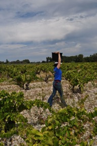 Domaine Rouge-Bleu Grape Heaven in Provence