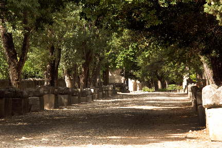 The Allee des Sarcophages @GingerandNutmeg #Provence #Arles #Alyscamps