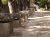 The Allee des Sarcophages