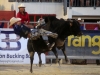Bull Riding Classic #Provence #AmericanRodeo @GingerandNutmeg