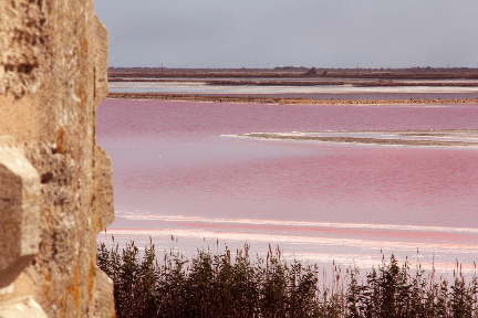 Aigues Mortes Salt Flats