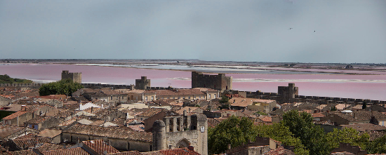 Aigues Mortes panorama