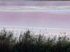 Aigues Mortes Salt Flats