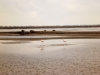 View of waters Le Saunier de Camargue