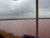 View of waters Le Saunier de Camargue