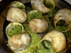 Escargot