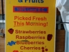 Fruit Stand