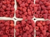 Raspberries