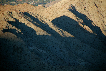 Crazy January Shadows