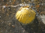 Camino de Compostela