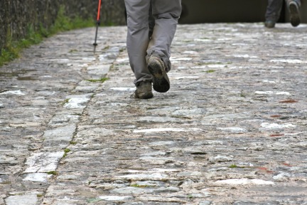 Camino Steps