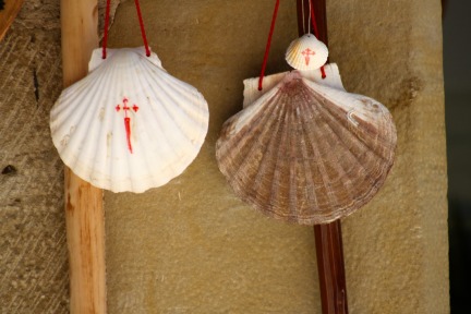 Camino Sea Shells