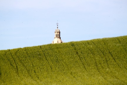 Camino Vistas