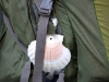Camino Sea Shells