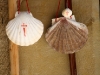 Camino Sea Shells