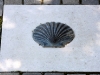 Camino Sea Shells