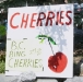 BC Cherries