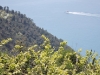 Cinque Terre Vista