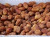 Halawai Dates