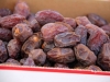 Medjool Dates