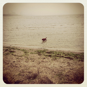 Sandymount Strand, Dublin, Ireland via @Gingerand Nutmeg