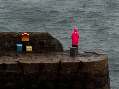 Coliemore Harbour, Dublin via @GingerandNutmeg