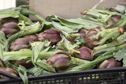 Artichokes