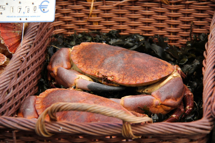 Crab #France #Seafood #Markets @GingerandNutmeg