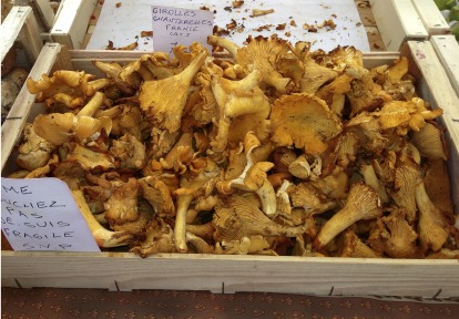 Market Mushrooms #France #markets @GingerandNutmeg