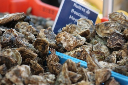 market-oysters