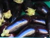 Aubergine