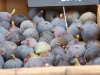 Figs