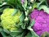 Cauliflower