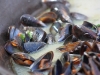 Moules