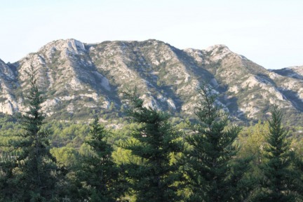 Les Alpilles view