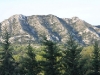 Les Alpilles view