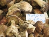 Mercato Mushrooms