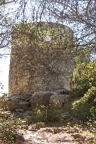 Windmill - Ramet