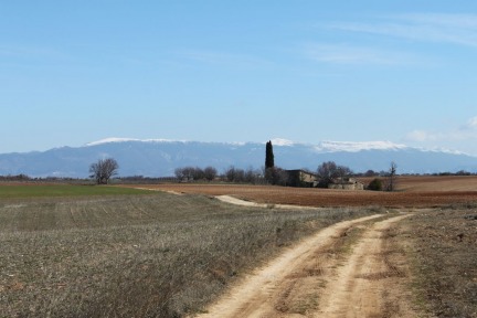 Valensole Plateau