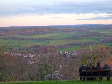 Burgundy view