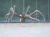 chateau-la-coste-bourgeois-crouching-spider