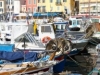 Cassis Port View