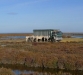 Camargue