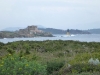 Porquerolles View