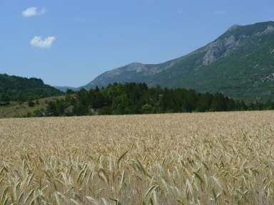 La Vallée du Jabron