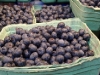 Blueberries