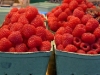 Raspberries