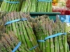 Asparagus