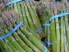 Asparagus