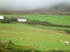 Ireland green #Ireland #TravelTips